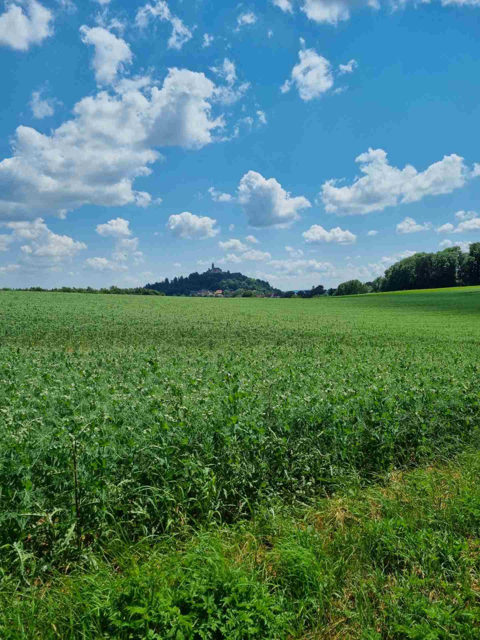 06 Aktion Juni 23 - Erlebnistage